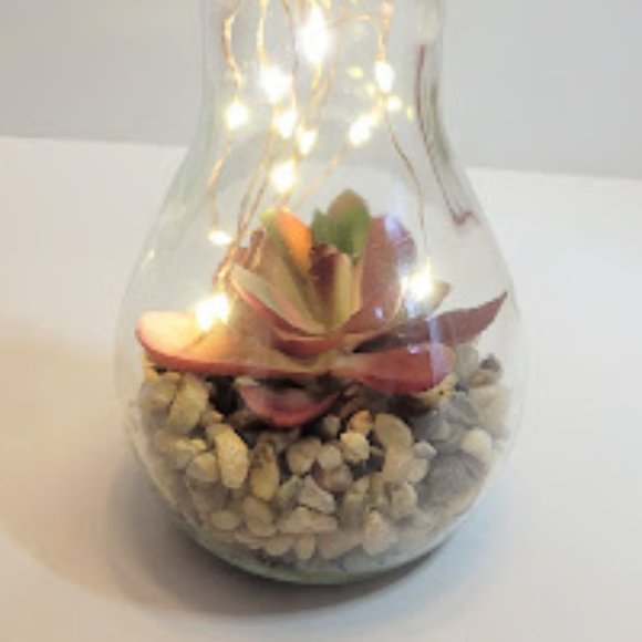 FAUX FOLIAGE TERRARUIM IN BULB WITH LED STRING LIGHTS 7"X3.5" - Picture 5 of 5